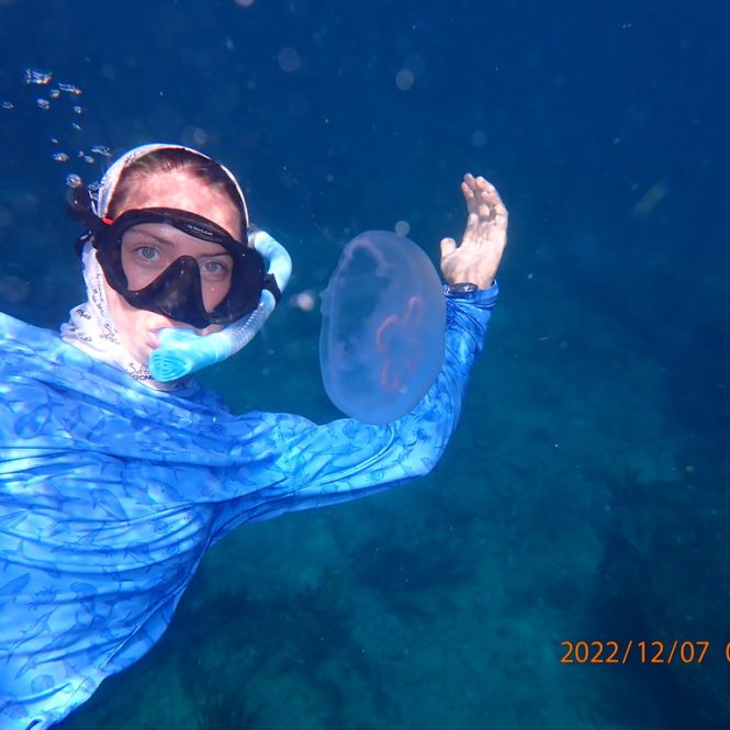 woman snorkeling with a jellyfish