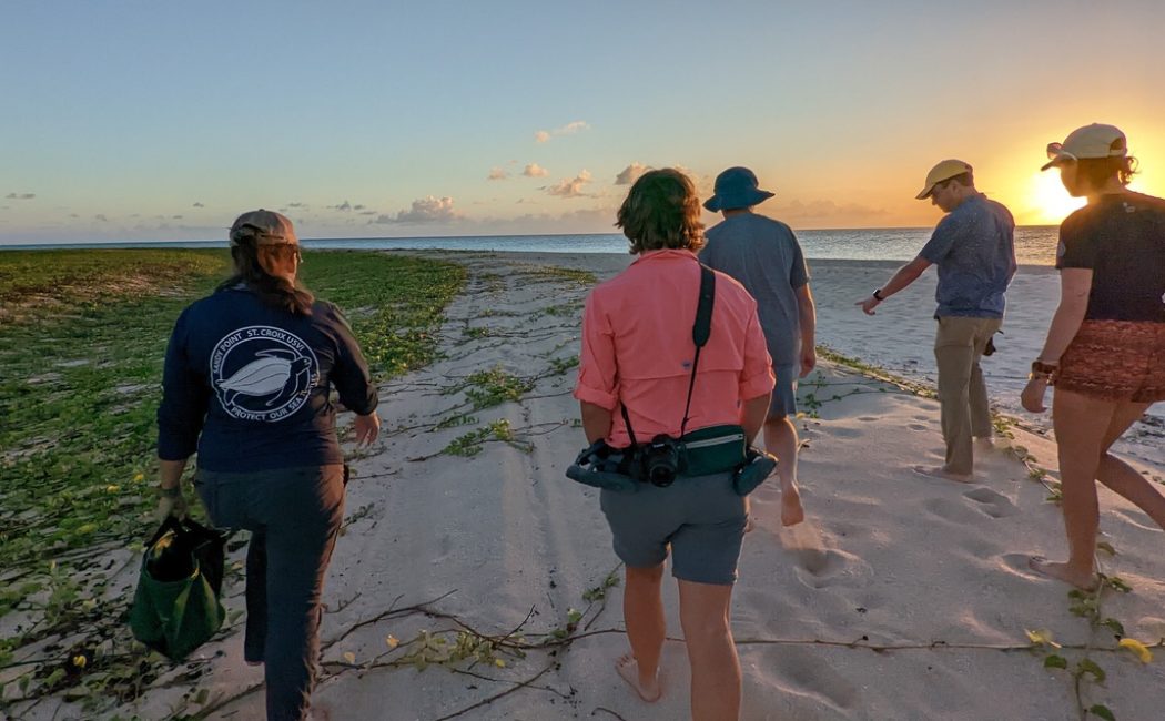five people walking away from the camera on the beach at sunset